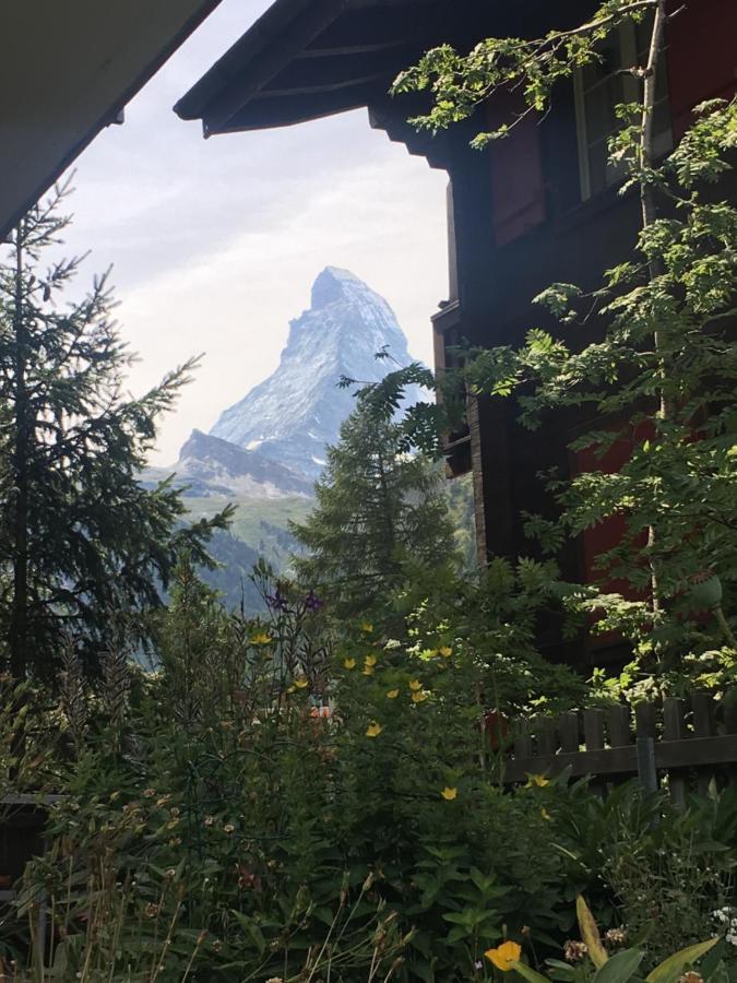 Mountain Apartments Zermatt Nr 6 Esterno foto